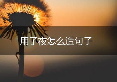 用子夜怎么造句子