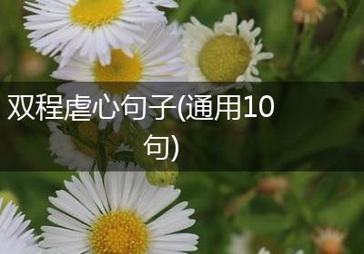 双程虐心句子(通用10句)