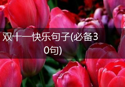 双十一快乐句子(必备30句)