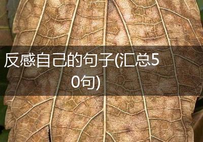 反感自己的句子(汇总50句)