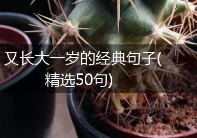 又长大一岁的经典句子(精选50句)