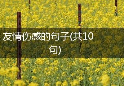 友情伤感的句子(共10句)