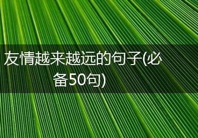友情越来越远的句子(必备50句)
