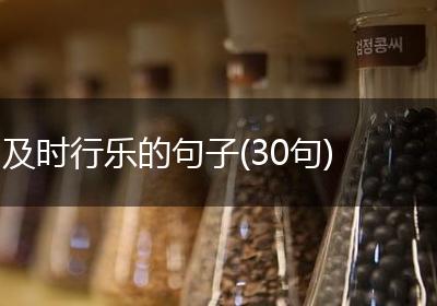 及时行乐的句子(30句)