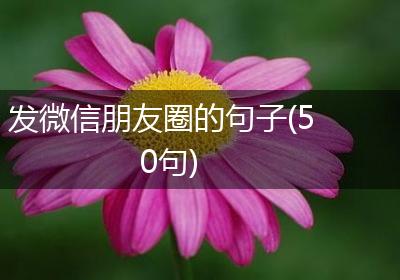 发微信朋友圈的句子(50句)