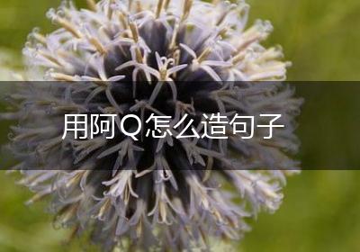 用阿Ｑ怎么造句子