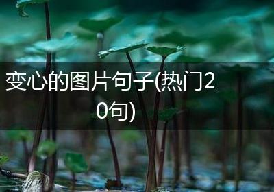 变心的图片句子(热门20句)
