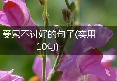 受累不讨好的句子(实用10句)
