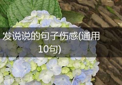 发说说的句子伤感(通用10句)