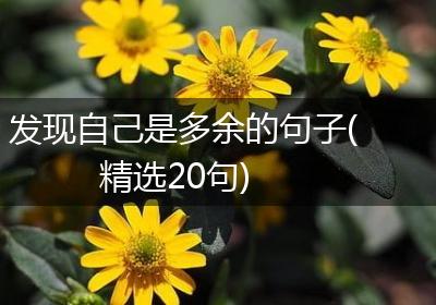 发现自己是多余的句子(精选20句)