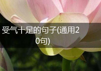 受气十足的句子(通用20句)