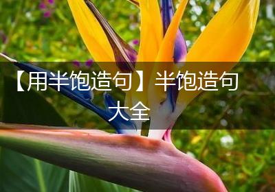 【用半饱造句】半饱造句大全