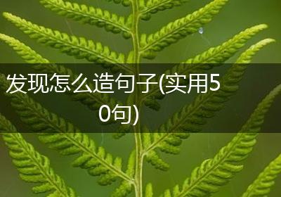 发现怎么造句子(实用50句)