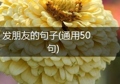 发朋友的句子(通用50句)