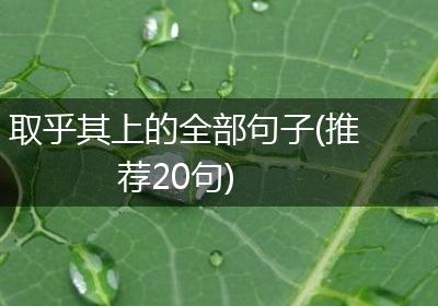 取乎其上的全部句子(推荐20句)