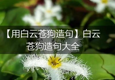 【用白云苍狗造句】白云苍狗造句大全