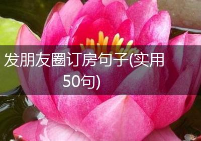 发朋友圈订房句子(实用50句)