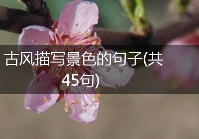 古风描写景色的句子(共45句)