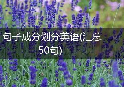 句子成分划分英语(汇总50句)