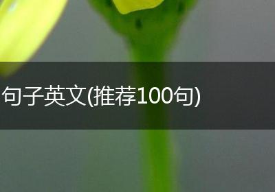 句子英文(推荐100句)