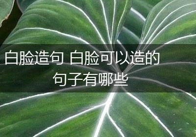 白脸造句 白脸可以造的句子有哪些