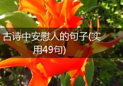 古诗中安慰人的句子(实用49句)