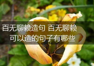 百无聊赖造句 百无聊赖可以造的句子有哪些