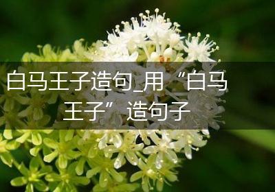 白马王子造句_用“白马王子”造句子