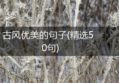 古风优美的句子(精选50句)