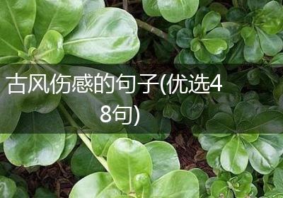 古风伤感的句子(优选48句)