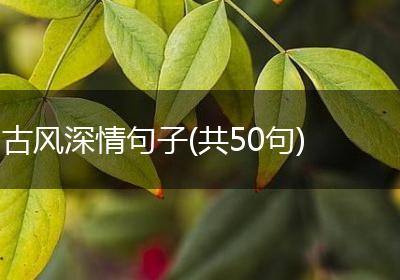 古风深情句子(共50句)