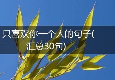只喜欢你一个人的句子(汇总30句)