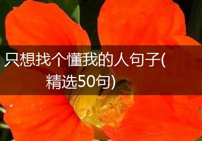 只想找个懂我的人句子(精选50句)