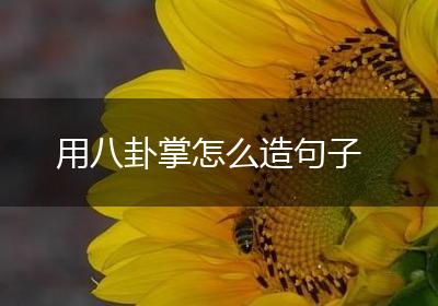 用八卦掌怎么造句子