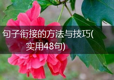 句子衔接的方法与技巧(实用48句)