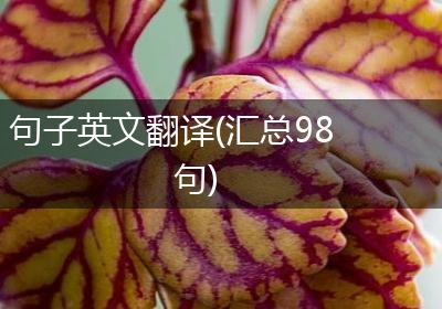 句子英文翻译(汇总98句)