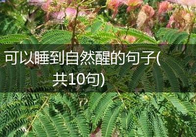 可以睡到自然醒的句子(共10句)