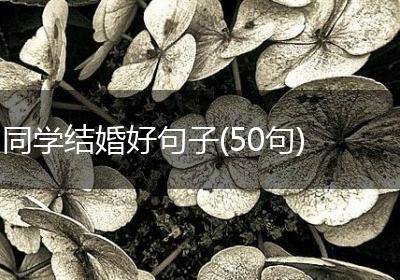 同学结婚好句子(50句)