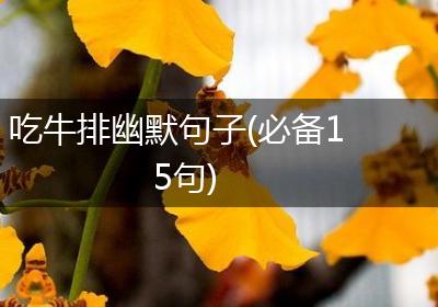 吃牛排幽默句子(必备15句)