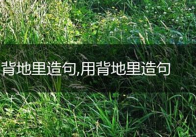 背地里造句,用背地里造句