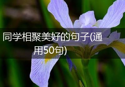 同学相聚美好的句子(通用50句)