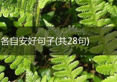 各自安好句子(共28句)