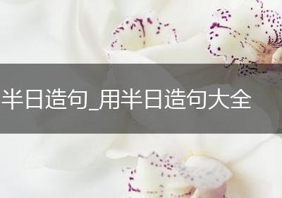 半日造句_用半日造句大全