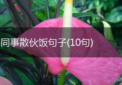同事散伙饭句子(10句)