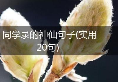 同学录的神仙句子(实用20句)