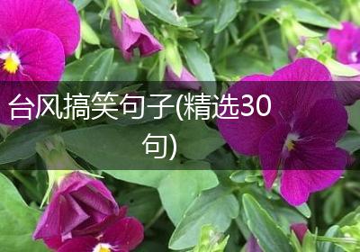 台风搞笑句子(精选30句)