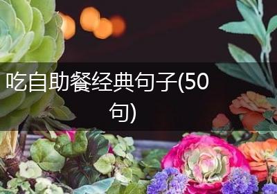 吃自助餐经典句子(50句)