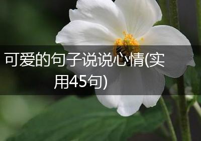 可爱的句子说说心情(实用45句)