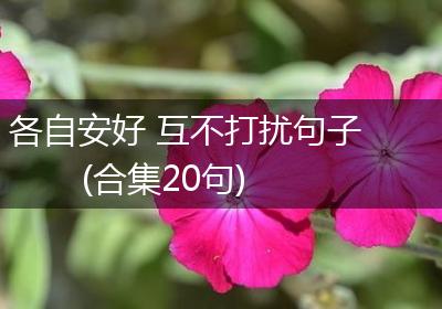 各自安好 互不打扰句子(合集20句)