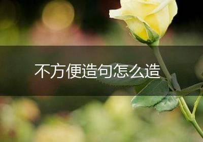 不方便造句怎么造